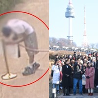 K-POPアイドルの誕生日イベントで事務所が文化遺産にステッカーを貼る問題行動　韓国教授が自国民に一喝
