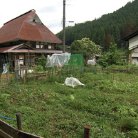庭では夏野菜を中心に約30種類を栽培している©MBS