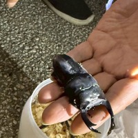 （写真は桜井日奈子の公式インスタグラムより）※所属事務所より掲載許諾をいただいています