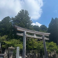 （写真は桜井日奈子の公式インスタグラムより）※所属事務所より掲載許諾をいただいています