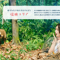 『旅色FOCAL』（C）ブランジスタメディア
