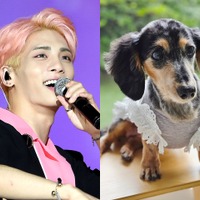 SHINee・ジョンヒョンさんの愛犬ルー、15歳で虹の橋を渡る。家族が報告「ずっと愛してる。もう会いたいよ…」
