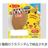 ©Nintendo・Creatures・GAME FREAK・TV Tokyo・ShoPro・JR Kikaku　©Pokémon