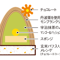抹茶／断面図
