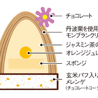 ジャスミン茶／断面図