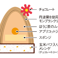 ほうじ茶／断面図