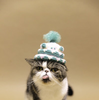 （C）ねこ休み展