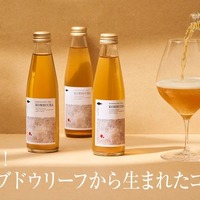 【ノンアルコールの新しい未来！】これまでとは一線を画すコンブチャ「HOKKAIDO TEA KOMBUCHA」販売