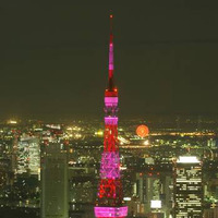 2004年のライトアップの模様、ピンク色に東京タワー