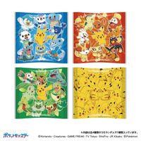 ©Nintendo・Creatures・GAME FREAK・TV Tokyo・ShoPro・JR Kikaku ©Pokémon