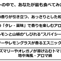 ＜参考資料＞アンケート調査　