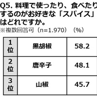 ＜参考資料＞アンケート調査　