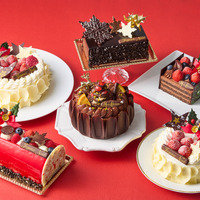 Noël Entremets Collection