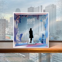 レコードウォールジャック、ミニフォトスポット