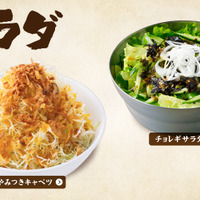 ルビ・ハラミ・タン・ホルモンなどのお肉から、創作焼肉や人気の「蜜おさつバター」など、40品以上が楽しめる学生限定の食べ放題メニュー！