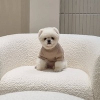 韓国の“SNSスター”が1年前にこの世を去っていた…空港の名誉広報大使務め、人気歌手のMVにも出演