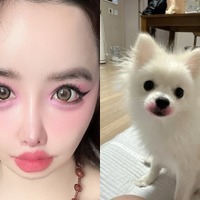 犬に“口紅”塗りたくり炎上　「64272e兆億ウォン」告訴に続いて韓国アイドルがまたしても奇行