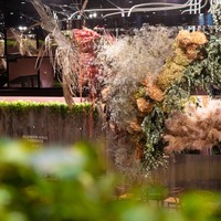 Gunma Flower Park+