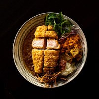 食べログ3.5点超えの実力店が集結！「東京カレー万博」新宿大久保公園で初開催決定！ 画像