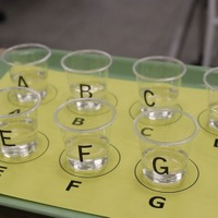 色だけで判断できないよう、黄色の紙にのせられている