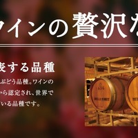 シャトレーゼ「秋のワインフェア」