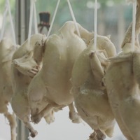 スイヘン©西尾康晴/Nishio Travel