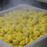 『極 栗蒸し羊羹』 11,880円(税込)