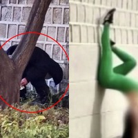 「最低限の礼儀守れ」ついに“排便”する姿まで　韓国の文化遺産一帯で外国人観光客の迷惑行為、大学教授が怒り