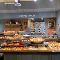 リヨンコッペル「カレンダーセール」