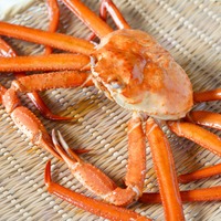 男鹿産の紅ズワイガニ
