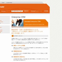 「Avanade」CRM紹介サイト（画像）