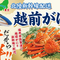 【イオン 超！ブラックフライデーセール特別企画】越前がに