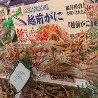 【イオン 超！ブラックフライデーセール特別企画】越前がに