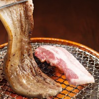 Korea　～韓国～【期間限定】厚切りサムギョプサル