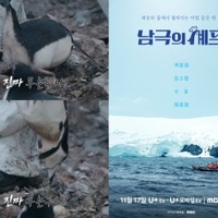 南極保護区域でペンギンを“逆さ持ち上げ”…韓国バラエティ番組に動物虐待疑惑が浮上　制作側「触れたのは研究員」