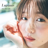 『岡崎紗絵 2nd 写真集 Lupinus』（C）宝島社