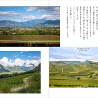 『Winart』2026年冬号（美術出版社）