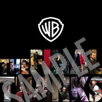 「ワーナー・ブラザース映画ファンフェスティバル」：入場者特典