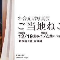 「岩合光昭写真展 ご当地ねこ」（C）Mitsuaki Iwago