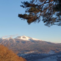 山頂からの景色