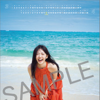 鈴木愛理１月始まり2026壁掛けカレンダー（3-4月）