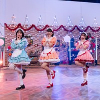 『第17回明石家紅白！』（C）NHK