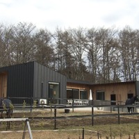 天井高のある黒のガルバリウム鋼板に覆われた平屋©MBS