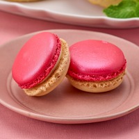 【ダロワイヨ レ マカロン】フレーズ ショコラブラン　324円