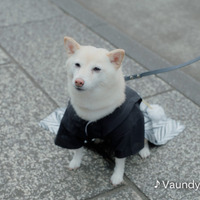 東京メトロの新CM「市ケ谷_私の心をほぐすもの」編