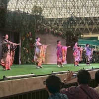 ハワイアンズダンシングチーム60期生（写真はハワイアンズの公式Xより）※運営会社より掲載許諾をいただいています