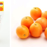 完熟きんかんたまたまナッシーVer.