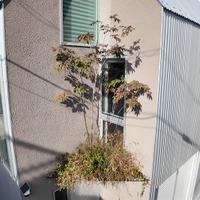 玄関の庇（ひさし）を兼ねた2階の庭©MBS