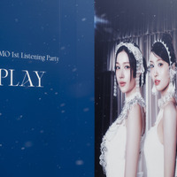 【撮影：田中聖太郎写真事務所】