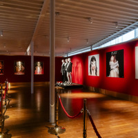 【撮影：田中聖太郎写真事務所】